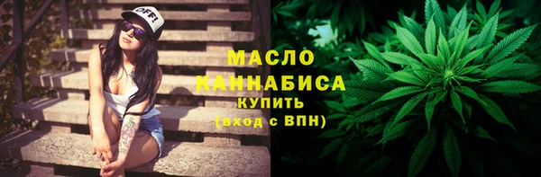 гидра Гусь-Хрустальный