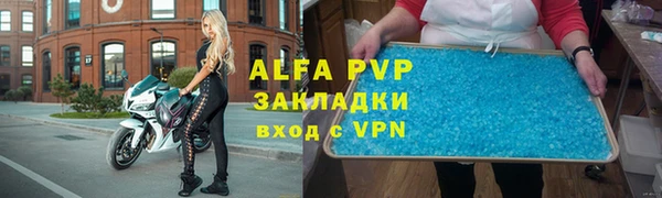 индика Дмитров