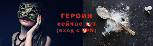 индика Дмитровск