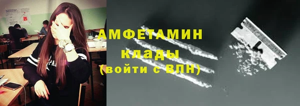 индика Дмитровск