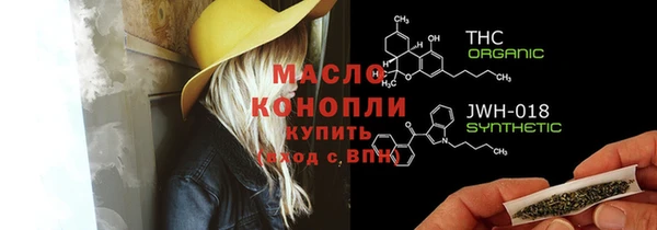 индика Дмитровск