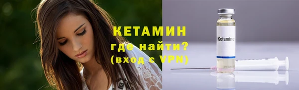 индика Дмитров