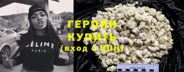 индика Дмитров