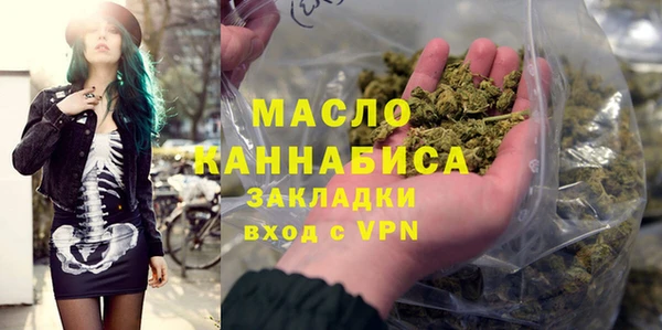индика Дмитров