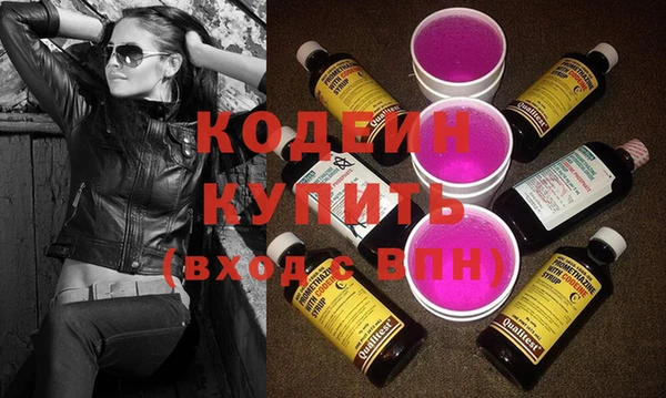 индика Дмитров