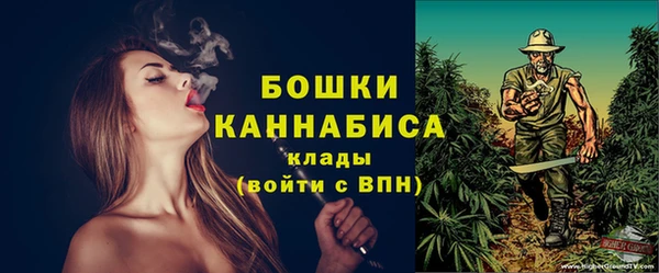 гидра Гусь-Хрустальный