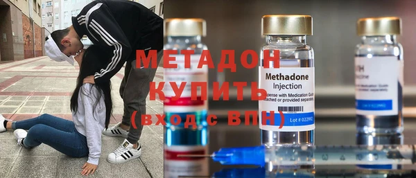 индика Дмитровск