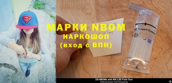 индика Дмитровск