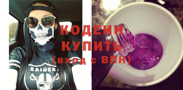 индика Дмитров