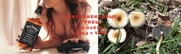 первитин Гусев