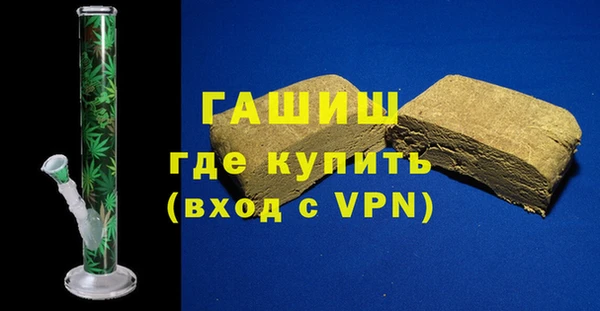 индика Дмитров